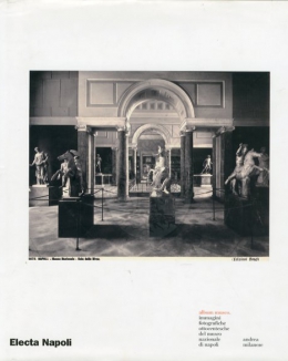 album_museo_immagini_fotografiche_ottocentesche_del_museo_nazionale_di_napoli_andrea_milanese.jpg