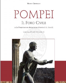 pompei_il_foro_civile_nella_pompeianarum_antiquitatum_historia_di_giuseppe_fiorelli_a_cura_di_m_grimaldi_collana_pompei_3.jpg