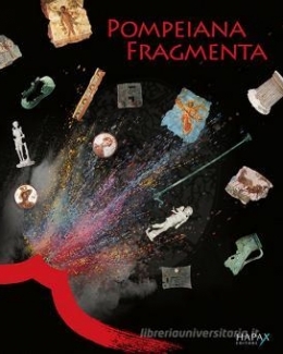 pompeiana_fragmenta_conoscere_e_conservare_a_pompei_indagini_archeologiche_analisi_diagnostiche_e_restauri_d_elia_v_meirano.jpg