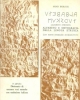 alfabeto e ortografia della lingua etrusca boriosi