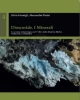 dioscoride i minerali la sezione mineralogica nel v libro della materia medica traduzione e commento