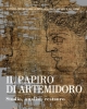 il papiro di artemidoro studio analisi restauro   maria letizia sebastiani e patrizia cavalieri a cura di
