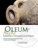 oleum et agri ruralit e paesaggio culturale  recuperi archeologici della guardia di finanza in mostra a san vito romano