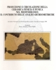 produzione e circolazione della ceramica fenicia e punica nel mediterraneo