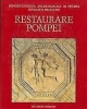 restaurare pompei   soprintendenza archeologica di pompei infrasud progetti   a cura di luisa franchi dellorto