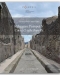rileggere pompei v linsula 7 della regio ix studi e ricerche del parco archeologico di pompei 35